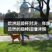 欧洲超级杯对决:年度最燃的巅峰碰撞详解(图3) 欧洲超级杯对决:年度最燃的巅峰碰撞详解(图3)