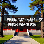 青训球员职业成长:突破瓶颈的秘密武器(图3) 青训球员职业成长:突破瓶颈的秘密武器(图3)