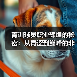 青训球员职业辉煌的秘密:从青涩到巅峰的非凡蜕变(图3) 青训球员职业辉煌的秘密:从青涩到巅峰的非凡蜕变(图3)