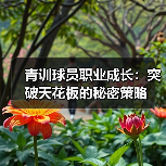 青训球员职业成长：突破天花板的秘密策略（图3）