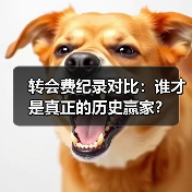 转会费纪录对比：谁才是真正的历史赢家？