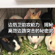 边后卫助攻能力:揭秘高效边路突击的秘密武器(图3) 边后卫助攻能力:揭秘高效边路突击的秘密武器(图3)
