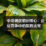 中场调度组织核心:企业竞争中的制胜法宝(图3) 中场调度组织核心:企业竞争中的制胜法宝(图3)