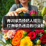 青训球员经纪人规范：打造绿色通道的行业新规（图2）