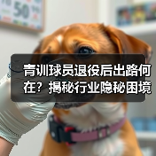 青训球员退役后出路何在？揭秘行业隐秘困境与转型机遇（图2）