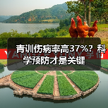 青训伤病率高37%？科学预防才是关键
