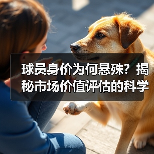 球员身价为何悬殊？揭秘市场价值评估的科学方法（图3）