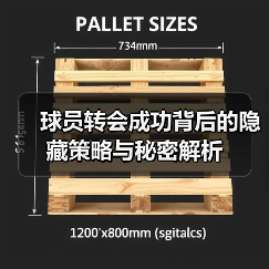 球员转会成功背后的隐藏策略与秘密解析（图3）
