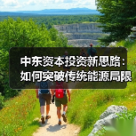 中东资本投资新思路：如何突破传统能源局限？（图3）