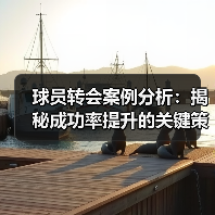 球员转会案例分析：揭秘成功率提升的关键策略（图2）