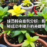 球员转会案例分析：揭秘成功率提升的关键策略（图4）