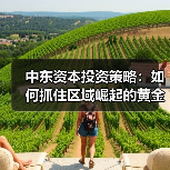 中东资本投资策略：如何抓住区域崛起的黄金机遇？（图3）