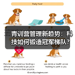 青训营管理新趋势：科技如何锻造冠军梯队？（图3）