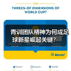 青训团队精神为何成足球新星崛起关键？（图3）