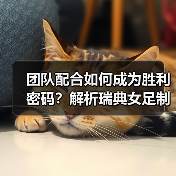 团队配合如何成为胜利密码？解析瑞典女足制胜之道（图2）
