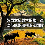 韩国女足战术揭秘：速度与组织如何驱动国际顶尖？（图4）