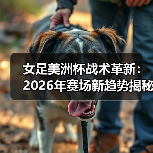 女足美洲杯战术革新：2026年赛场新趋势揭秘（图2）