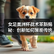 女足美洲杯战术革新揭秘：创新如何颠覆传统？（图4）
