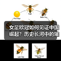 女足欧冠如何见证中国崛起？历史长河中的璀璨篇章（图3）