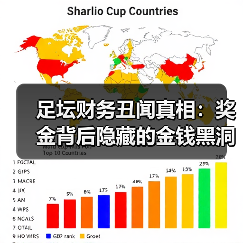 足坛财务丑闻真相：奖金背后隐藏的金钱黑洞（图2）