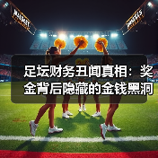 足坛财务丑闻真相：奖金背后隐藏的金钱黑洞（图3）