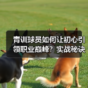 青训球员如何让初心引领职业巅峰？实战秘诀揭秘（图2）