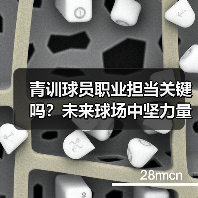 青训球员职业担当关键吗？未来球场中坚力量如何培养（图2）