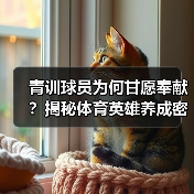 青训球员为何甘愿奉献？揭秘体育英雄养成密码（图3）