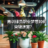 青训球员职业梦想如何突破迷雾？（图2）