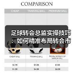 足球转会总监实操技巧：如何精准布局转会市场？（图4）