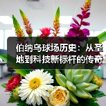 伯纳乌球场历史：从圣地到科技新标杆的传奇蜕变（图2）