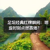 足坛经典红牌瞬间：哪些时刻点燃赛场？（图4）