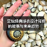 足坛经典球衣设计背后的故事与未来趋势（图3）