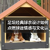 足坛经典球衣设计如何点燃球迷情感与文化认同？（图2）