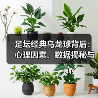 足坛经典乌龙球背后：心理因素、数据揭秘与逆转真相（图3）