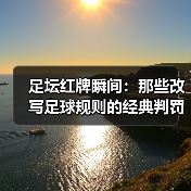 足坛红牌瞬间：那些改写足球规则的经典判罚（图2）