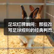 足坛红牌瞬间：那些改写足球规则的经典判罚（图3）