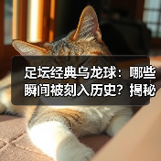 足坛经典乌龙球：哪些瞬间被刻入历史？揭秘背后故事（图2）