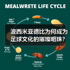 波西米亚德比为何成为足球文化的璀璨明珠？（图2）