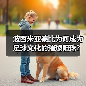 波西米亚德比为何成为足球文化的璀璨明珠？（图4）