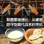 默西塞德德比：从硬朗防守到现代战术的世纪对决（图3）