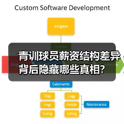 青训球员薪资结构差异背后隐藏哪些真相？（图2）