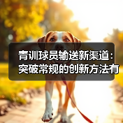 青训球员输送新渠道：突破常规的创新方法有哪些？（图3）