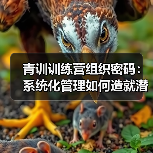 青训训练营组织密码：系统化管理如何造就潜力股？（图4）
