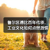 鲁尔区德比百年传承，工业文化如何点燃激情？（图2）