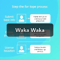 Waka Waka（图1）