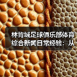林肯城足球俱乐部体育综合新闻日常经验：从需求判断到使用维护（图4）