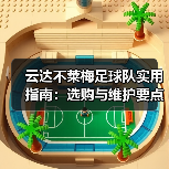 云达不莱梅足球队实用指南：选购与维护要点（图3）